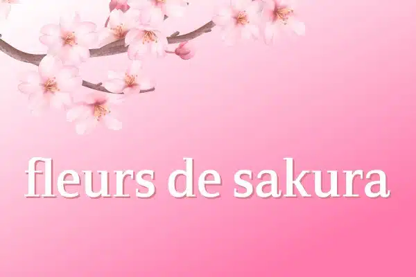 Fleurs de sakura